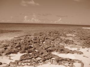 Bahamas Aug 2010 120